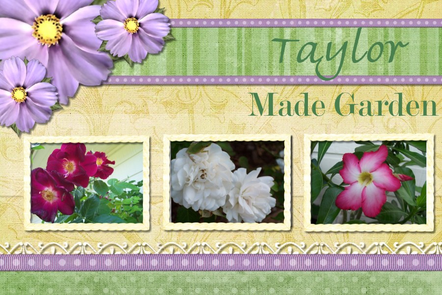 Taylor Made Garden