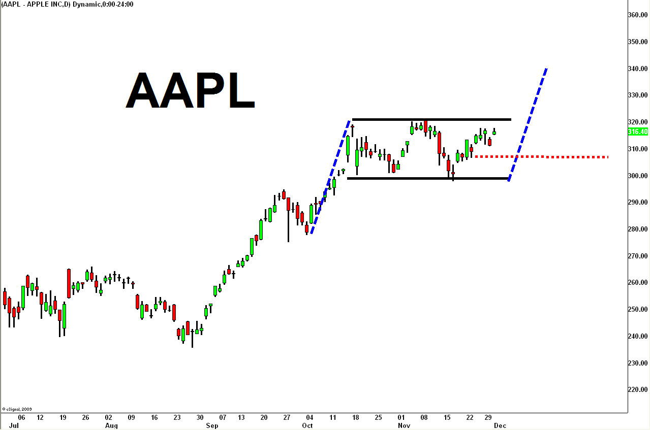 apple inc aapl share price