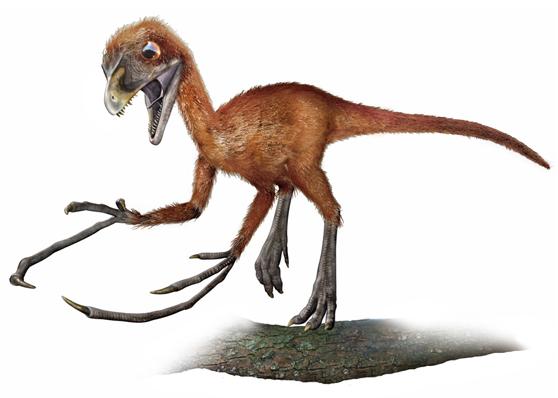 epidendrosaurus800pn0.jpg