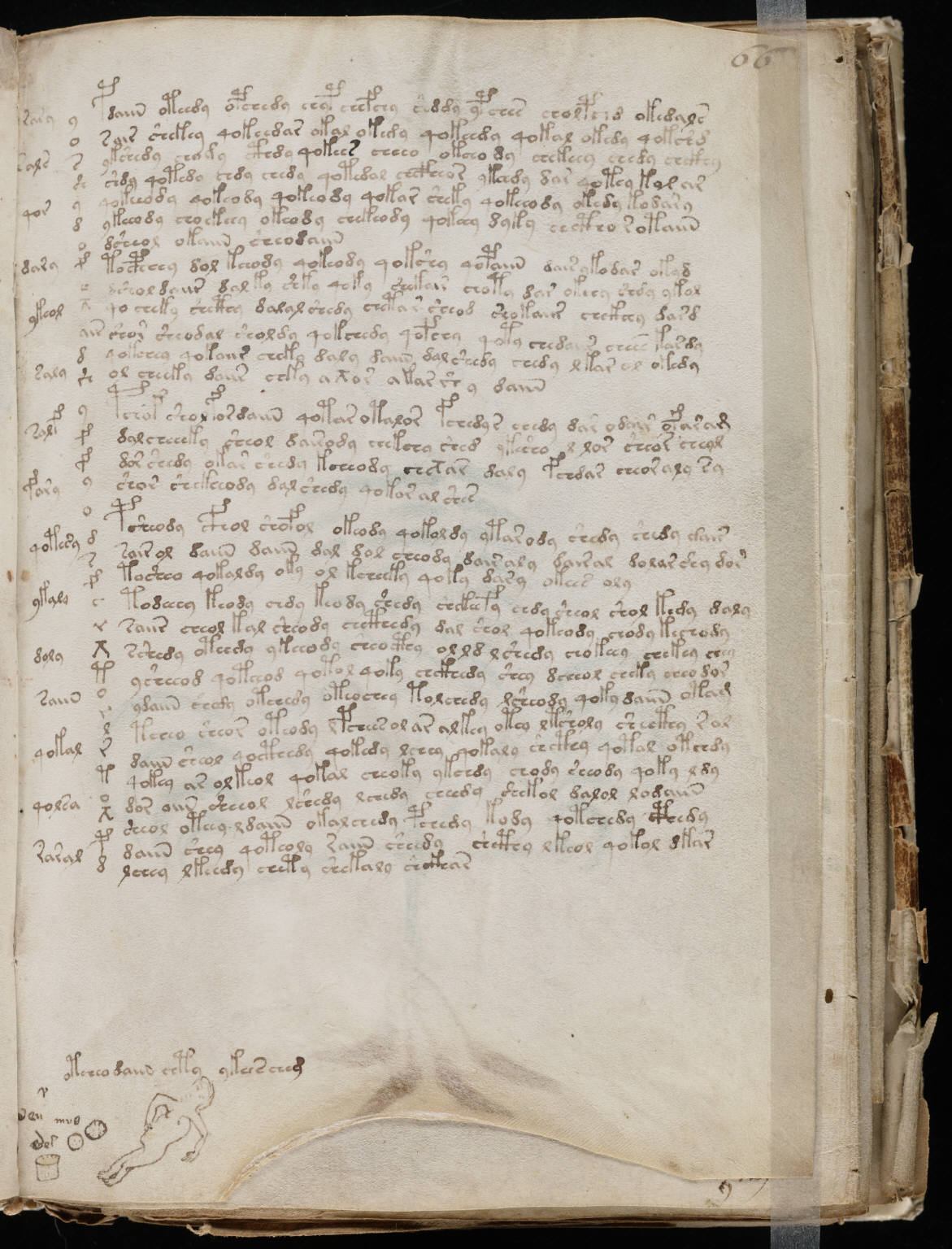old maps expeditions and explorations the mystery of the what is a book manuscript