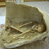 Elamite Jar Burial Transferred to Haft-Tappeh Museum