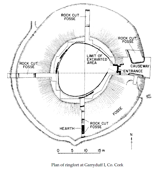 Broch, Crannog and Hillfort Irish Rural Settlements