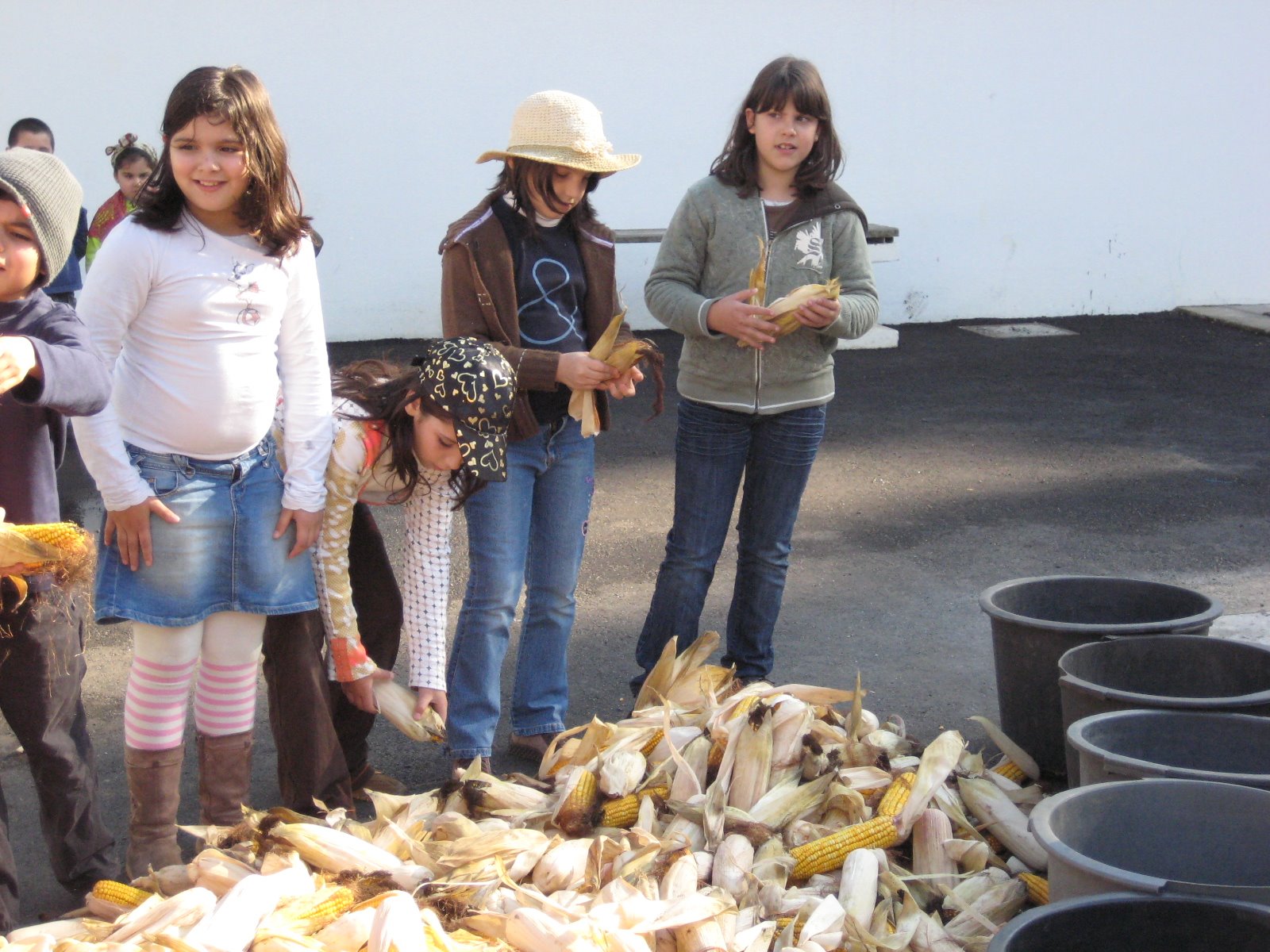 [desfolhada2008+006.jpg]