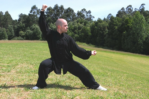[sifu2.jpg]