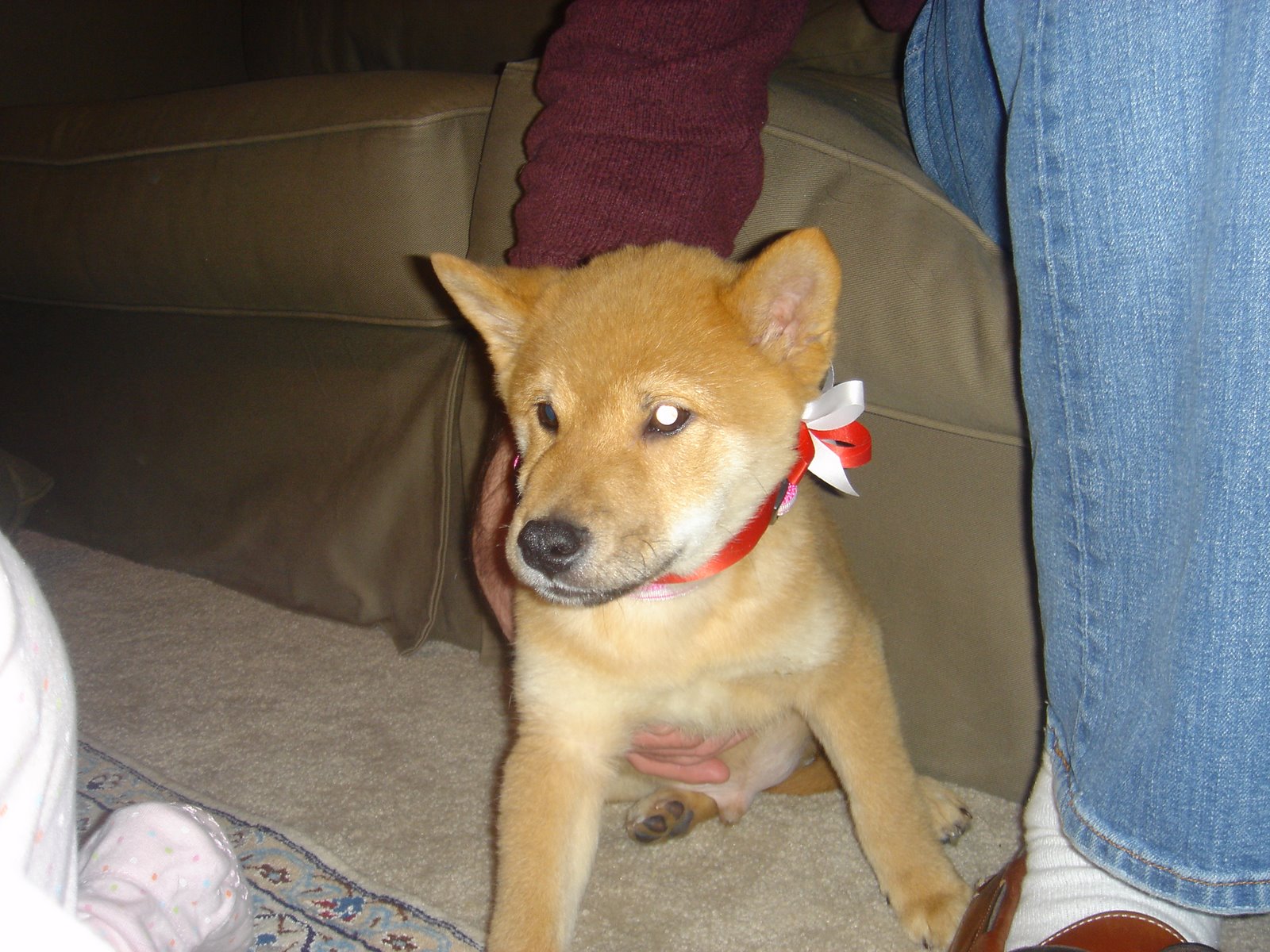 [DSC03520.JPG]