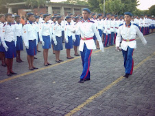 Desfile de Gala