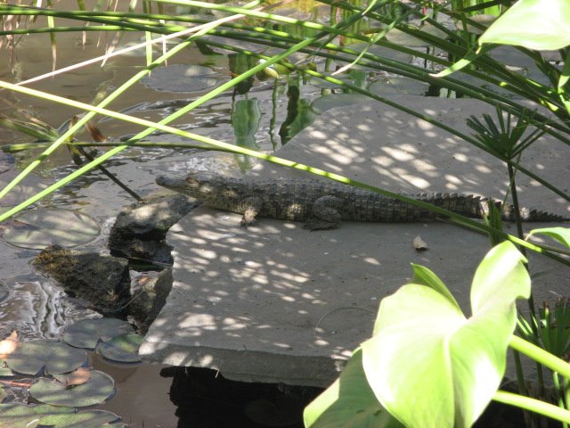 [IMG_5142.JPG]