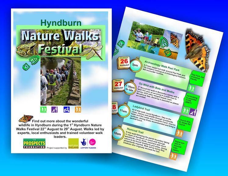 Walking events leaflets