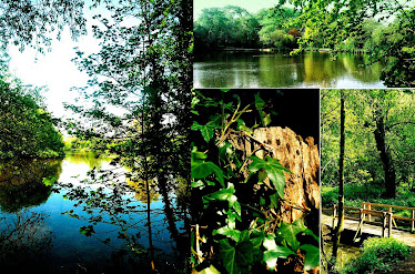 Abbey Lakes, Upholland