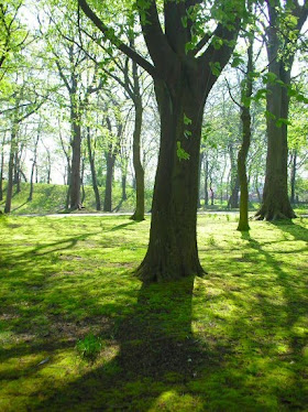 Queens Park, Rochdale