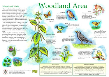 Coronation Park, Woodland Interpretation