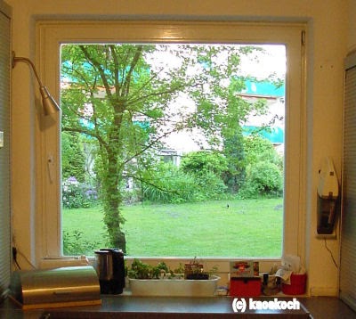 Hamburg kocht!: Blick aus dem Küchenfenster