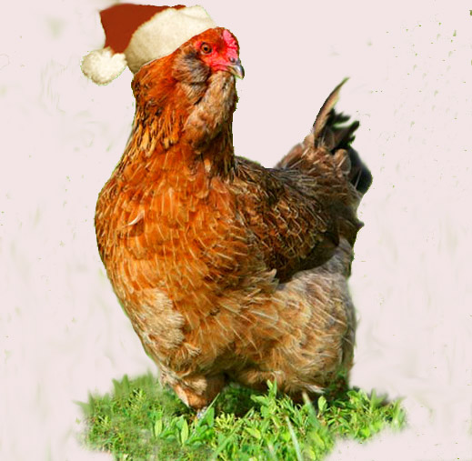 There goes the neighborhood...