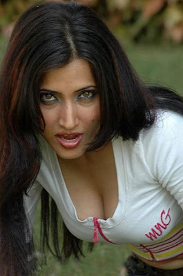 Masala Actress Hot Saree Exposing Spicy Photos