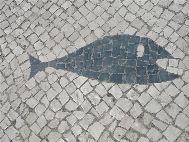 [fish.jpg]