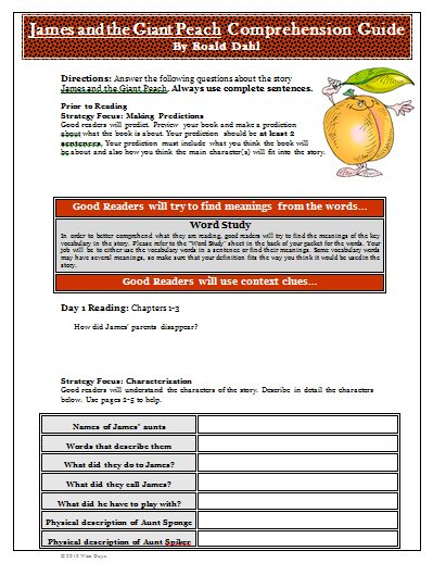 unit, literature circle,