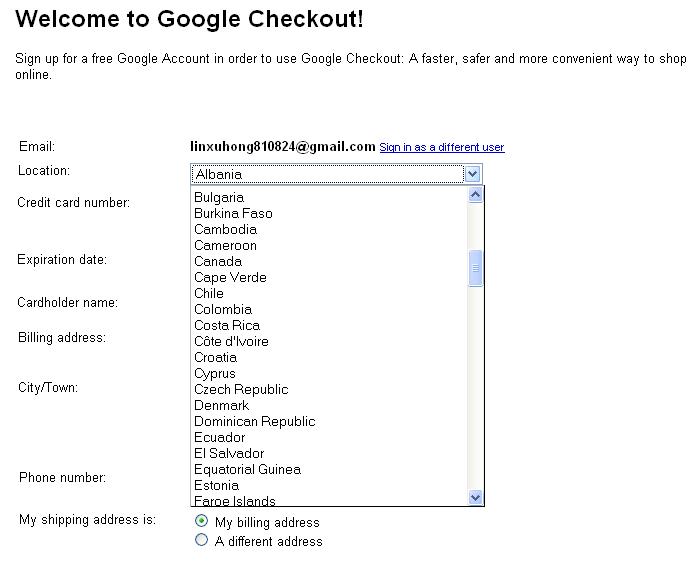 [GoogleCheckout.JPG]