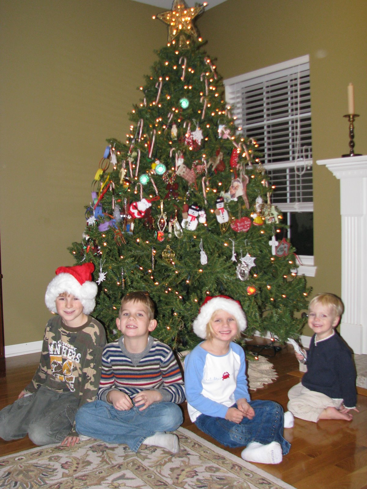 [christmas+tree+008.JPG]