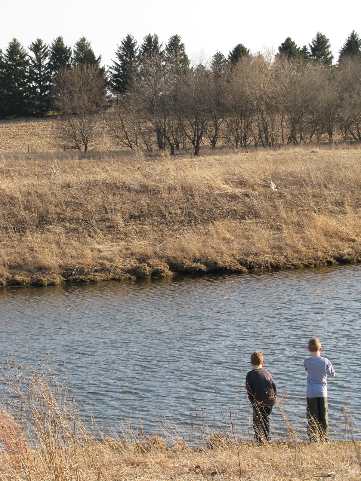 [spring+fever+075.JPG]