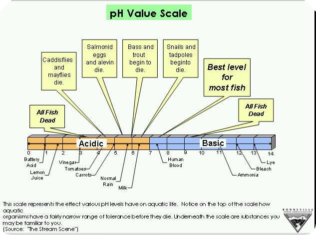 Ph Scale Vinegar