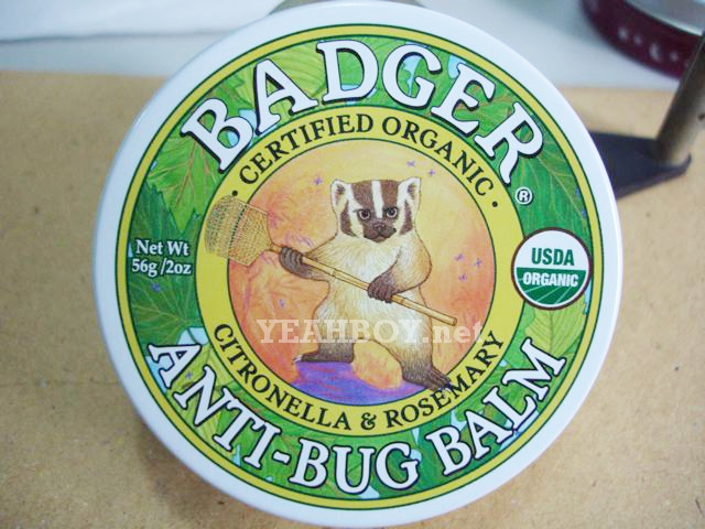 Anti Bug