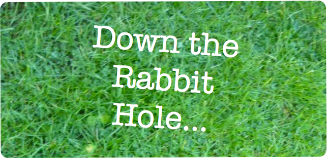 Down the Rabbit Hole...