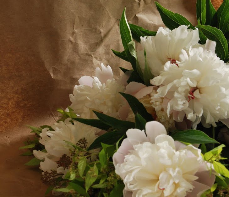 The Wind and The Sail Peonies and Carnations. A tutorial.