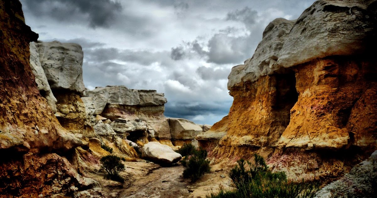 photography by jules Paint Mines Interpretive Park II