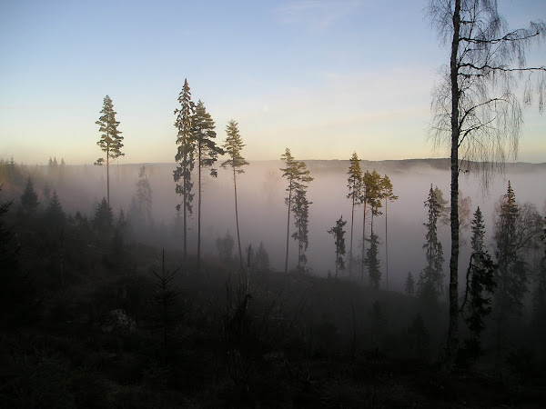 Vakre, mystiske Finnskogen