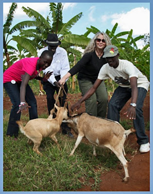 Rwanda Colors