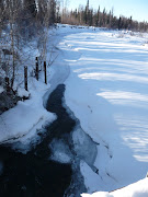 Montana Creek~no salmon