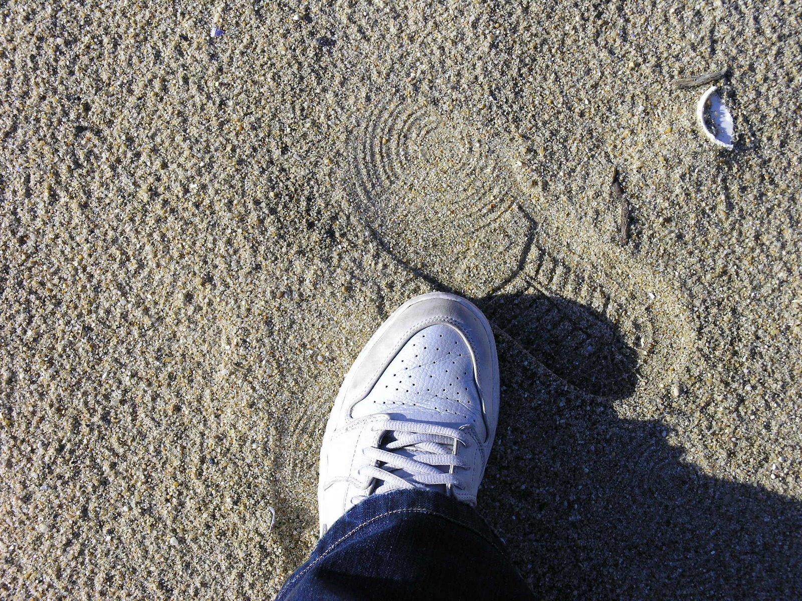 [P1017039.JPG]
