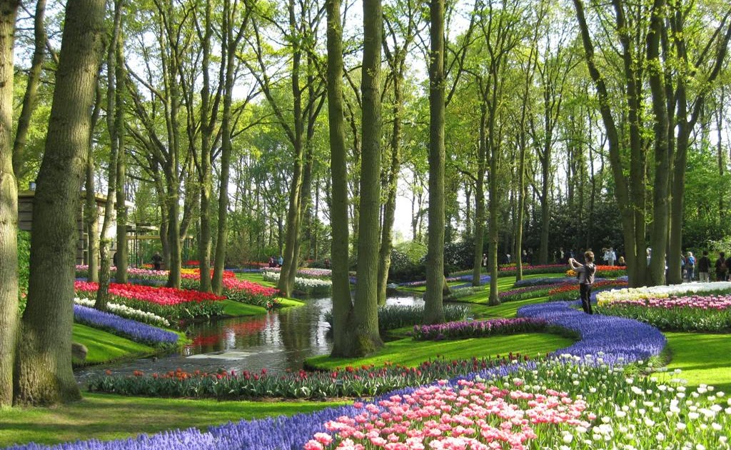 The Garden Wanderer: Keukenhof, the Netherlands