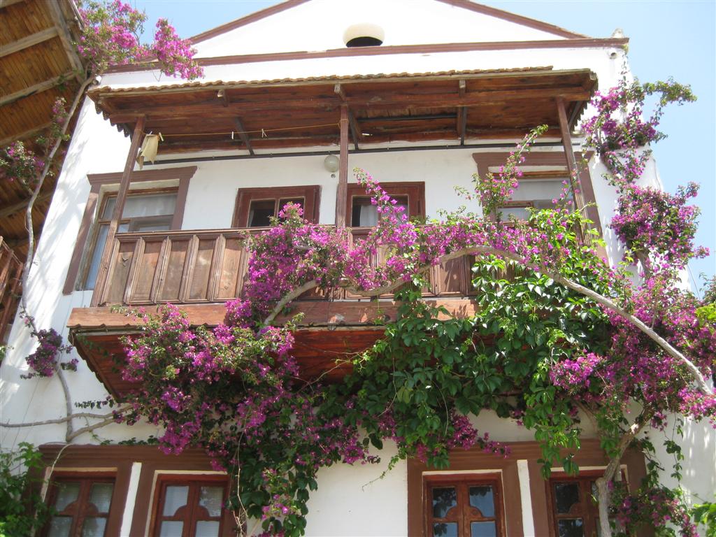 The Garden Wanderer Turkish gardens