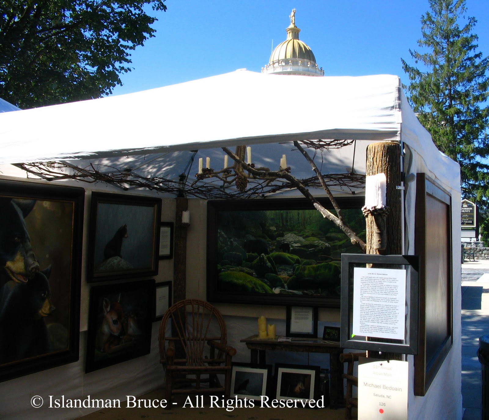 islandman Art on Main in Hendersonville