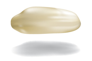 one rice grain