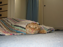 Cat in a mat