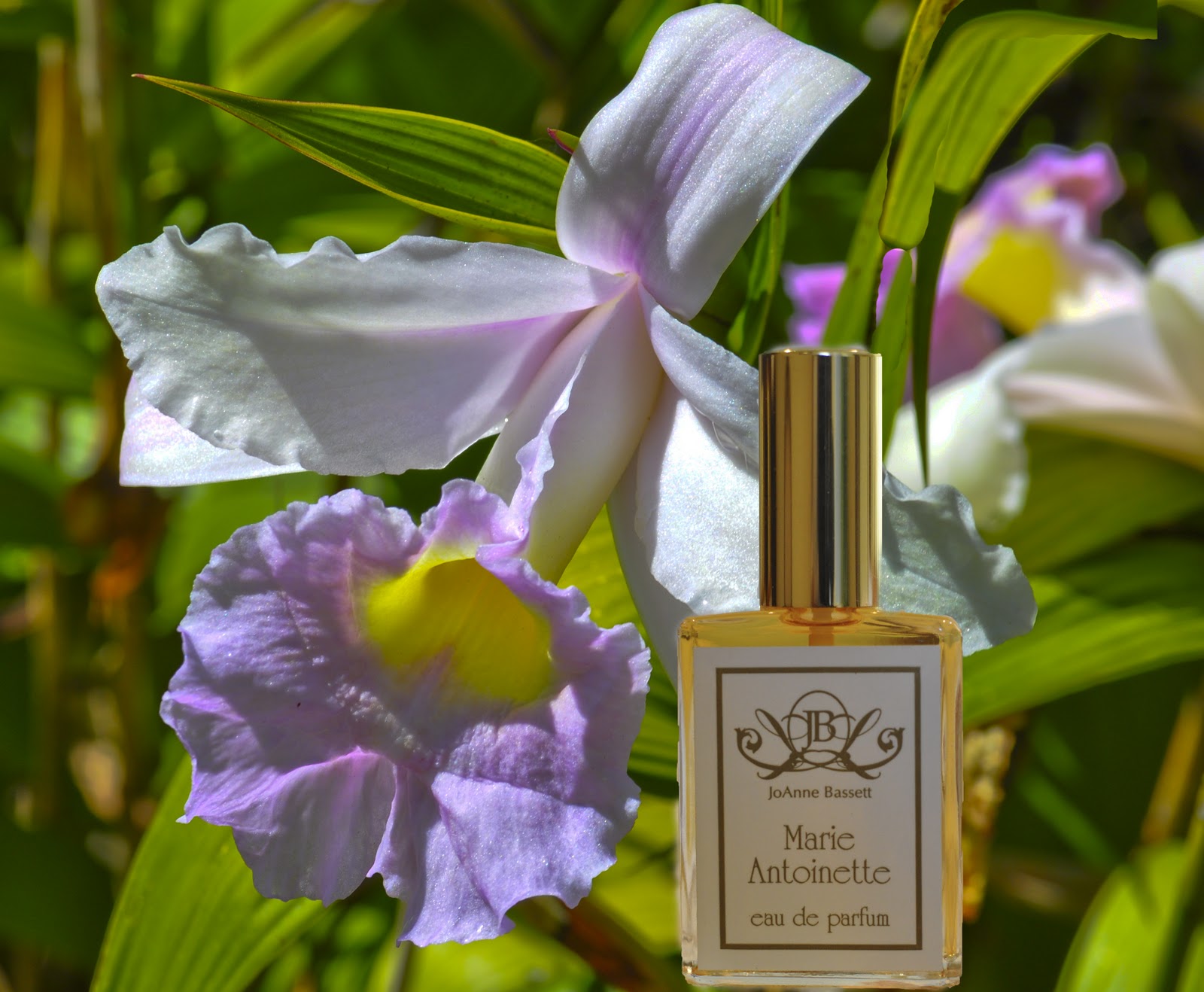 THE NEED FOR NATURAL PERFUME