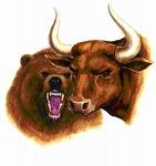 How to invest in Indian Stock Market?- Bear and Bull