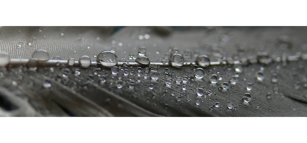 [rainbw.jpg]