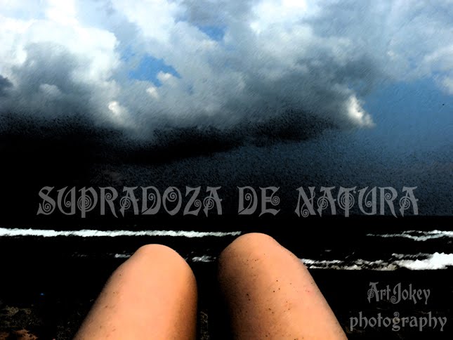 supradoza de natura - Photoblog ArtJokey