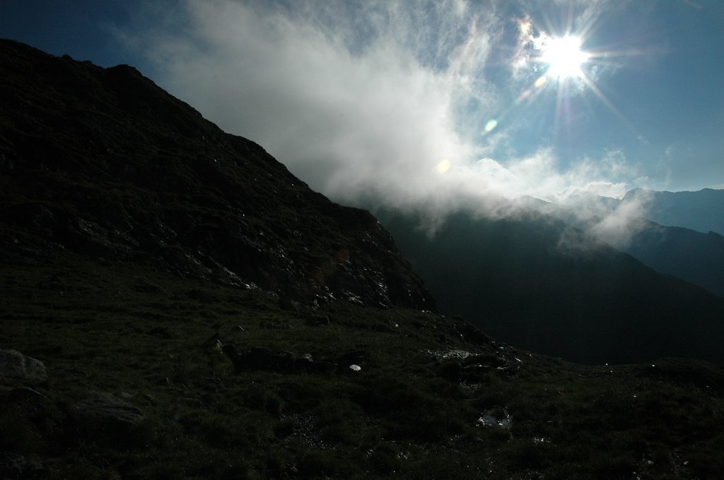 [DSC_6502.JPG]