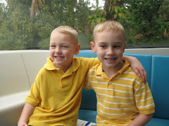 Brother Love  Disney 2009