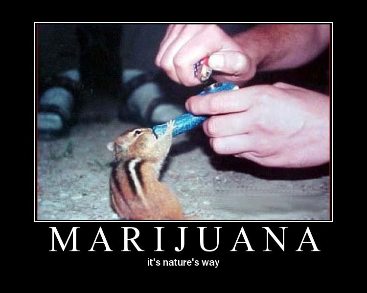 [Marijuana.jpg]