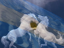 Estoy en Argentina