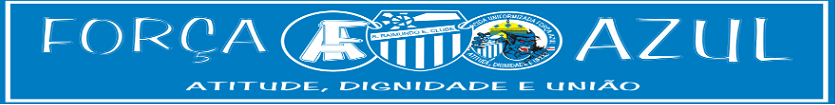 G.S.R.T.U. FORÇA AZUL