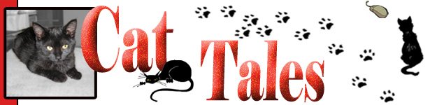 Cat Tales