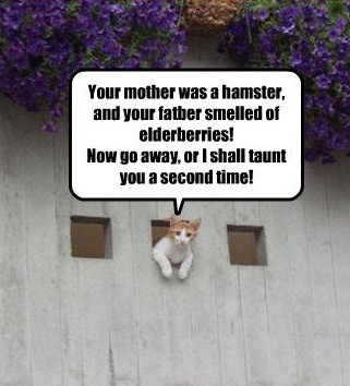 [PythonKitteh.jpg]