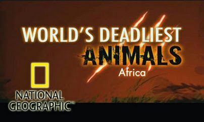 NG WORLD DEADLIEST ANIMALS - DVD