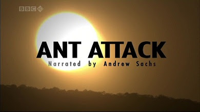 BBC Natural.World.Ant.Attack - HD